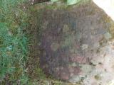 image of grave number 723082